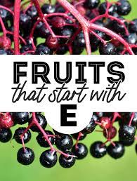 17 fruits that start with e with