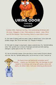 remove cat urine odor