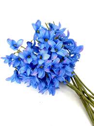 Bluebells Baby Boy Flowers Blue Flowers