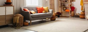 carpet cleaning services carpet