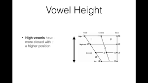 How To Use A Vowel Quadrilateral Ipa Vowel Chart With Examples