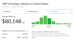 Dot Net Developer Programmer Salary