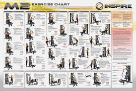 47 Unmistakable Weider 740 Exercise Chart