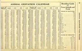 Animal Gestation Calendar For Horses Cows Sheep Pigs