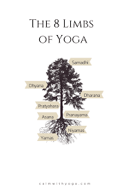 the 8 limbs of yoga simplified