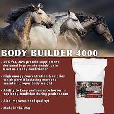 pennwoods body builder 4000 horse weight gain supplement high fat and energy horse weight builder with body conditioning horse vitamins improves