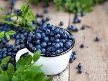 What would happen if I ate blueberries everyday?