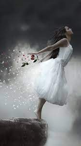 White Dress Rose Girl Wallpaper - Free ...
