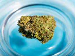 Marijuana, or marihuana, is a name for the cannabis plant and more specifically a drug preparation from it. Forschern Ist Es Gelungen Marihuana Im Labor Zu Zuchten Business Insider