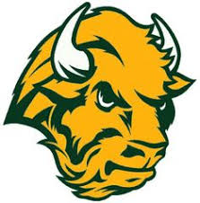 Image result for bison sports logo