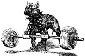 the conjugate method for powerlifting