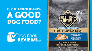 recipe grain free dry dog food reviews