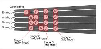 How To Play The Violin Fingering Musical Instrument Guide