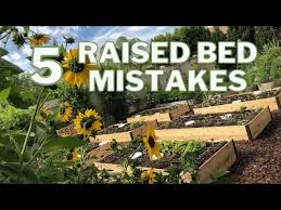 5 Raised Bed Garden Mistakes To Avoid