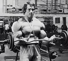Arnold Schwarzenegger Bodybuilding Workout Routine And Diet