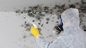 Signs Your Basement Is Full Of Mold