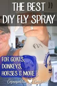 how to make diy fly spray
