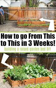 How To Make A Vegetable Garden Diy