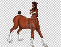 Clydesdale Horse Moose Centaur Foal Stallion Png Clipart