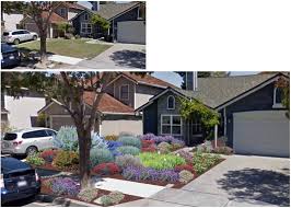 Drought Tolerant Landscaping Saves