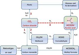 Full Article Heterogeneous Catalysts