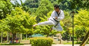 10 most por martial arts combat
