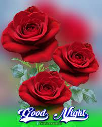 goodnight #roses #love... - Good Morning & Good Night Photos | Facebook