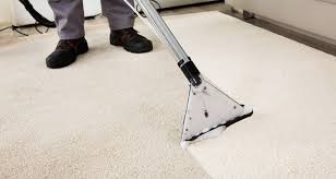 Carpet Cleaning Cost Guide 2023 How