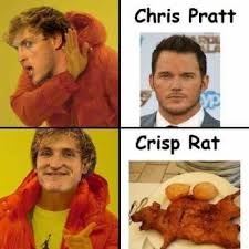 If you need help click the link. Dopl3r Com Memes Chris Pratt Crisp Rat
