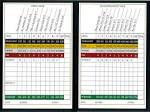 Scorecard - The World Tour Golf : The World Tour Golf