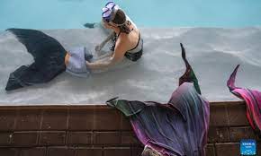 mermaid swimming courses increasingly