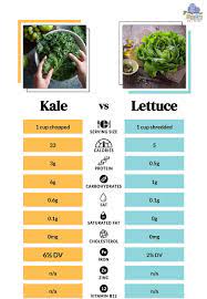 kale vs lettuce difference in