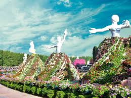 how to get to dubai miracle garden try