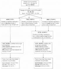 Flow Chart For Mothers Reports Childs Illness And Health