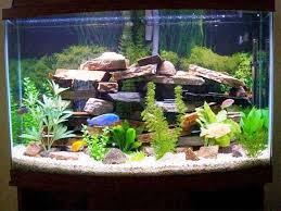 small fish tank decorations 35