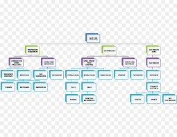 Organizational Chart Text Png Download 1600 1241 Free