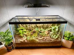 turn an aquarium into a terrarium 9