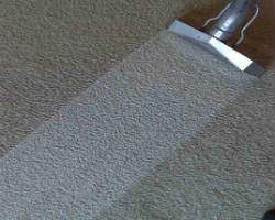 carpet cleaning company in houston tx
