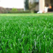 Lawn care made beautifully simple. What Happened To Scotts Lawnservice Green Lawn Fertilizing
