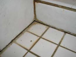 Bathroom Shower Tile And Grout Repair