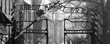 3a usually the holocaust : American Public Opinion And The Holocaust