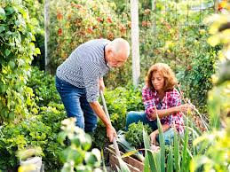 best ways to garden for older s