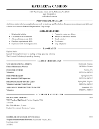 Best Professional Resume   Free Resume Example And Writing Download