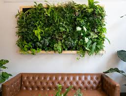 Indoor Plant Wall Ideas How Why To