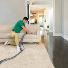 top 10 best carpet cleaning als in