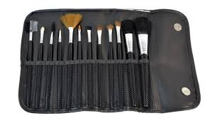 12 piece premium makeup brush