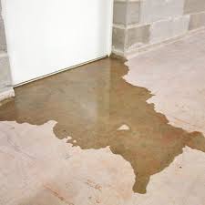 water damage and emergency seattle
