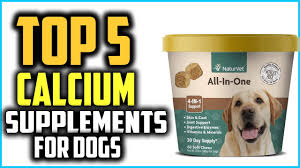 Does my dog need vitamins? Top 5 Best Calcium Supplements For Dogs Review In 2021 Youtube