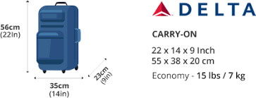 delta airline carry on bage