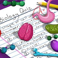 It covers over 70% of the planet, with marine plants supplying up to 80% of our oxygen,. Quiz What Do You Know About The Bugs That Can Make You Sick